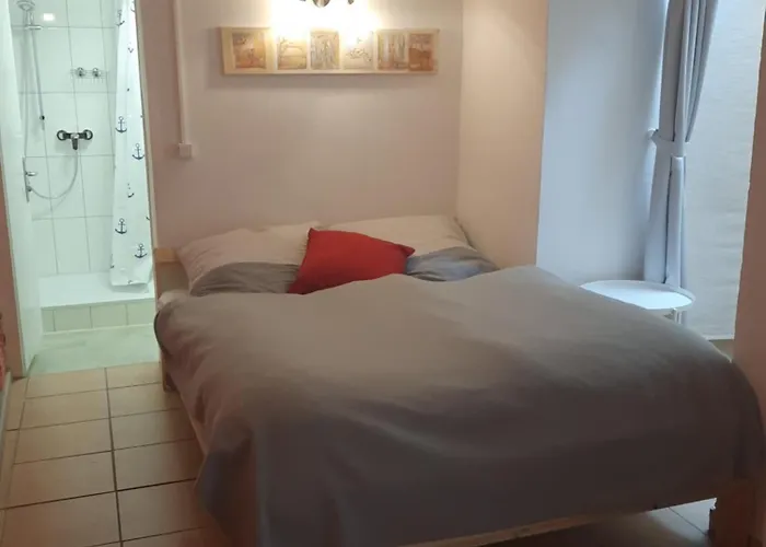 Gemuetliches Studio-apartment Fuer 2 Personen In Toplage 公寓 科隆